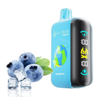 Elf Bar Blueberry Ice RAYA D3 25000